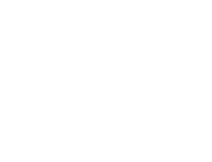 نظام صنفی رایانه ای