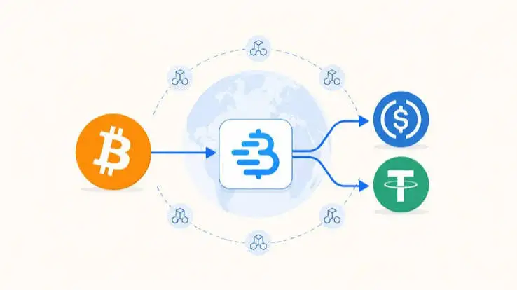 استفاده از Lightning در پرداختهای سازمانی