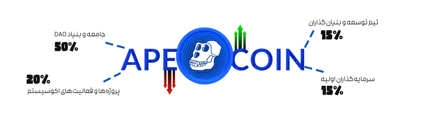 توکنومیک (Tokenomics) ایپ کوین (ApeCoin)