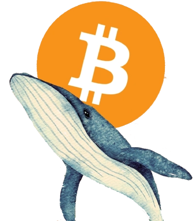 bitcoin-whales-buying-price-prediction-100k