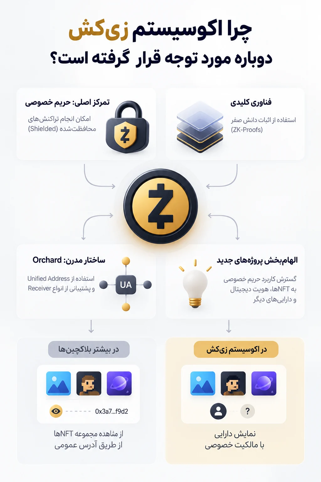 چرا اکوسیستم زی‌کش دوباره مورد توجه قرار گرفته است؟