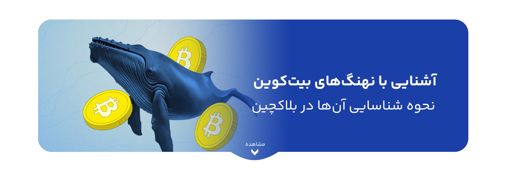 what-are-bitcoin-whales-simple-guide