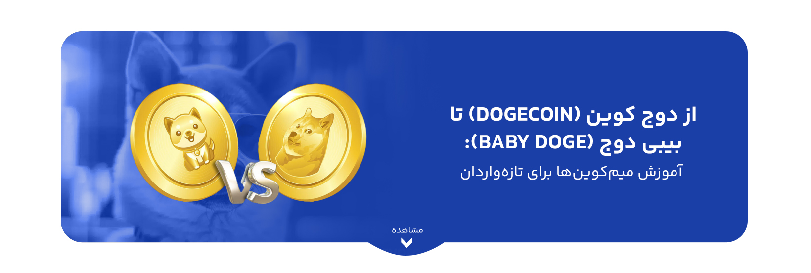 از دوج کوین (dogecoin) تا بیبی دوج (baby doge):  آموزش میم‌ کوین‌ها برای تازه‌واردان