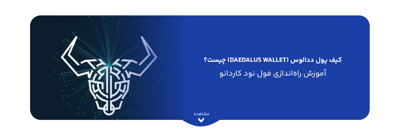 کیف پول ددالوس (Daedalus Wallet) چیست؟ آموزش راه‌اندازی فول نود کاردانو