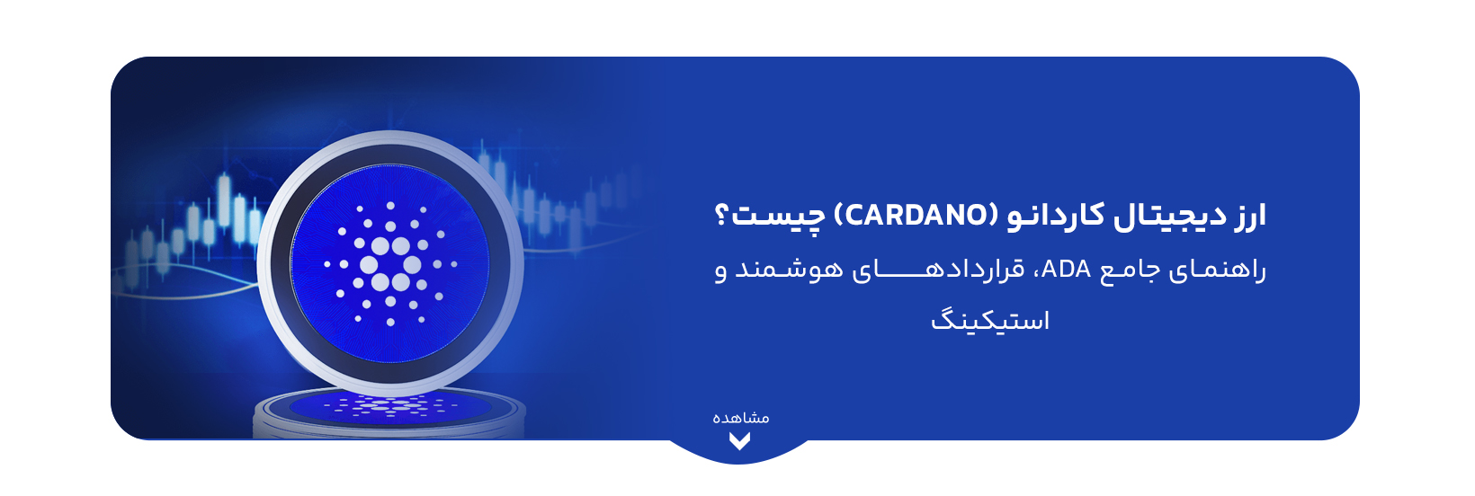 blog-image