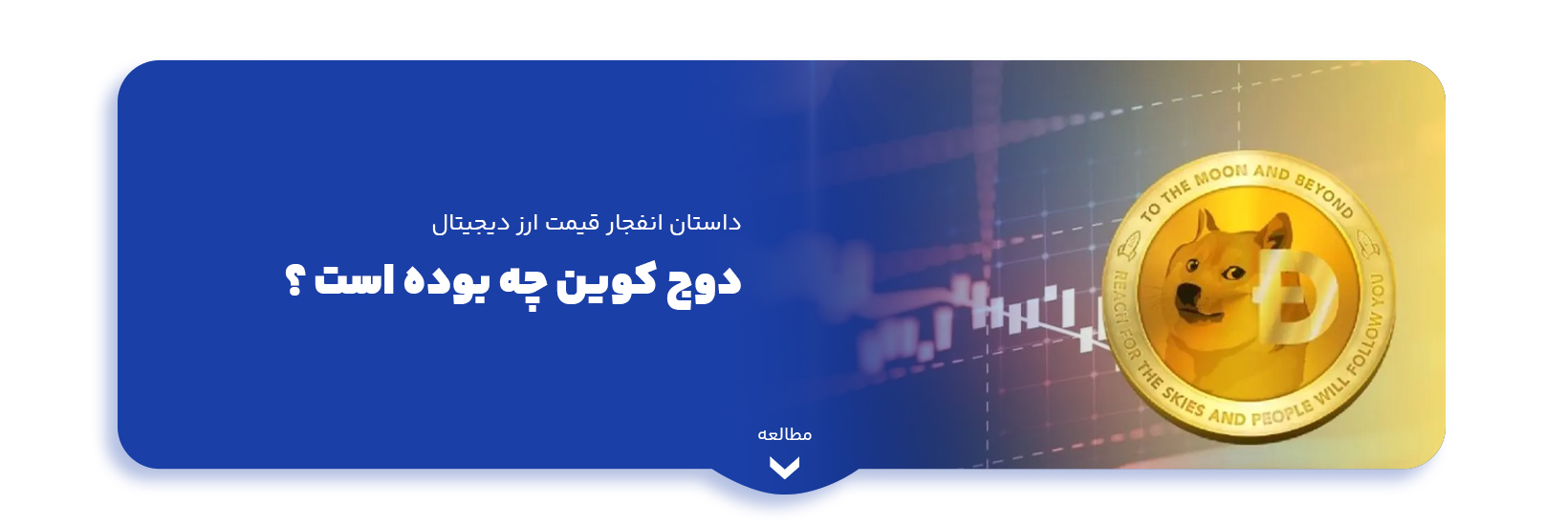 blog-image