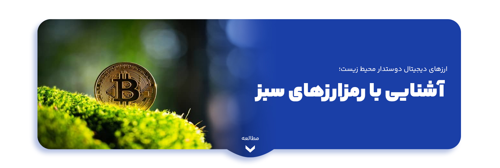blog-image