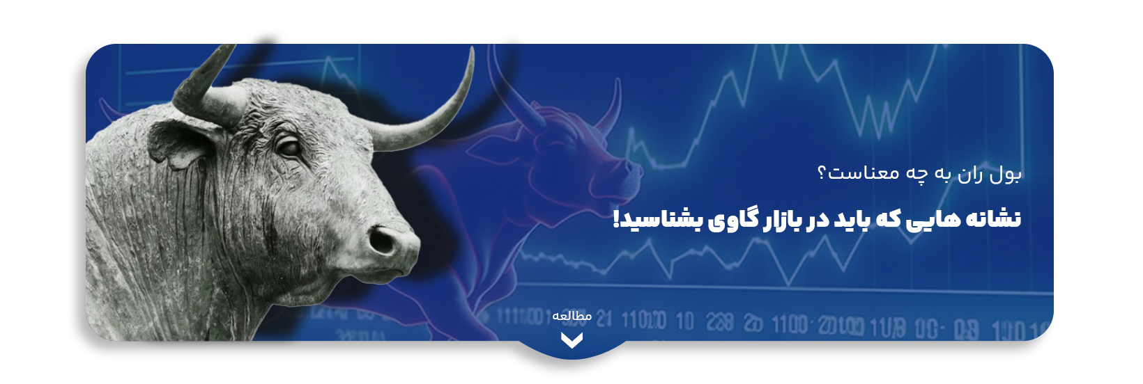 blog-image