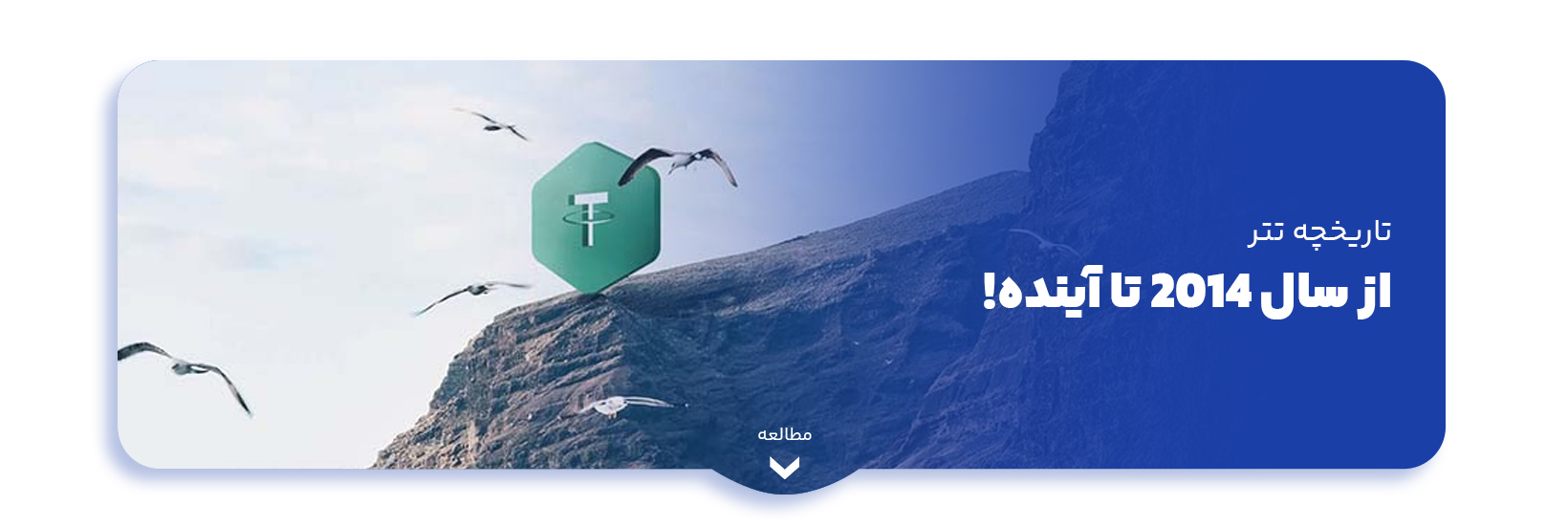 blog-image