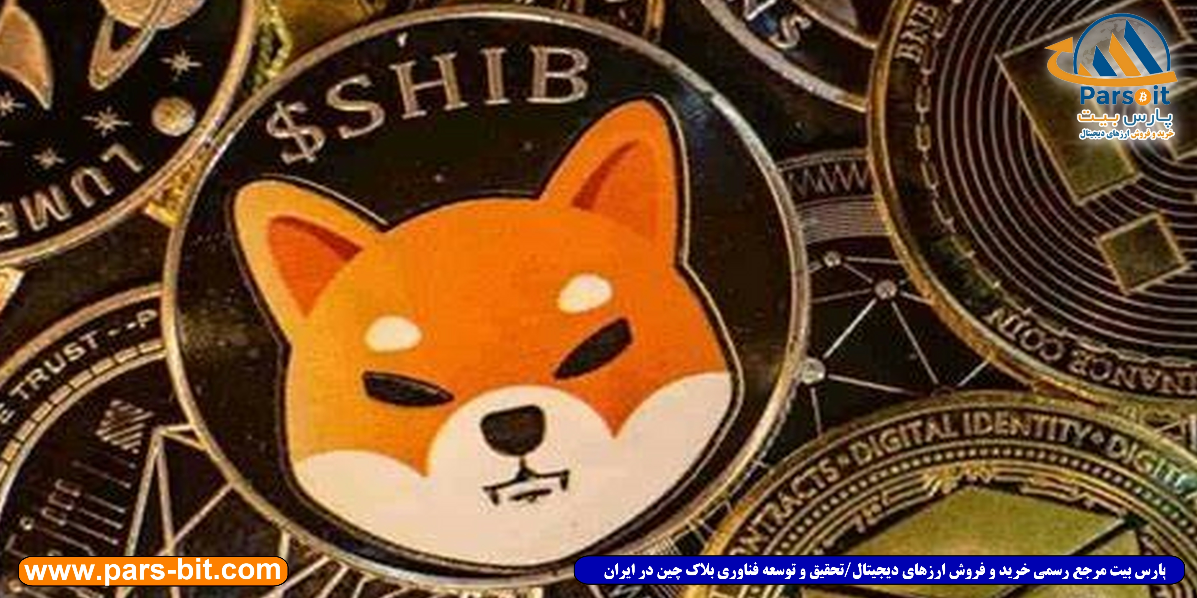 blog-image