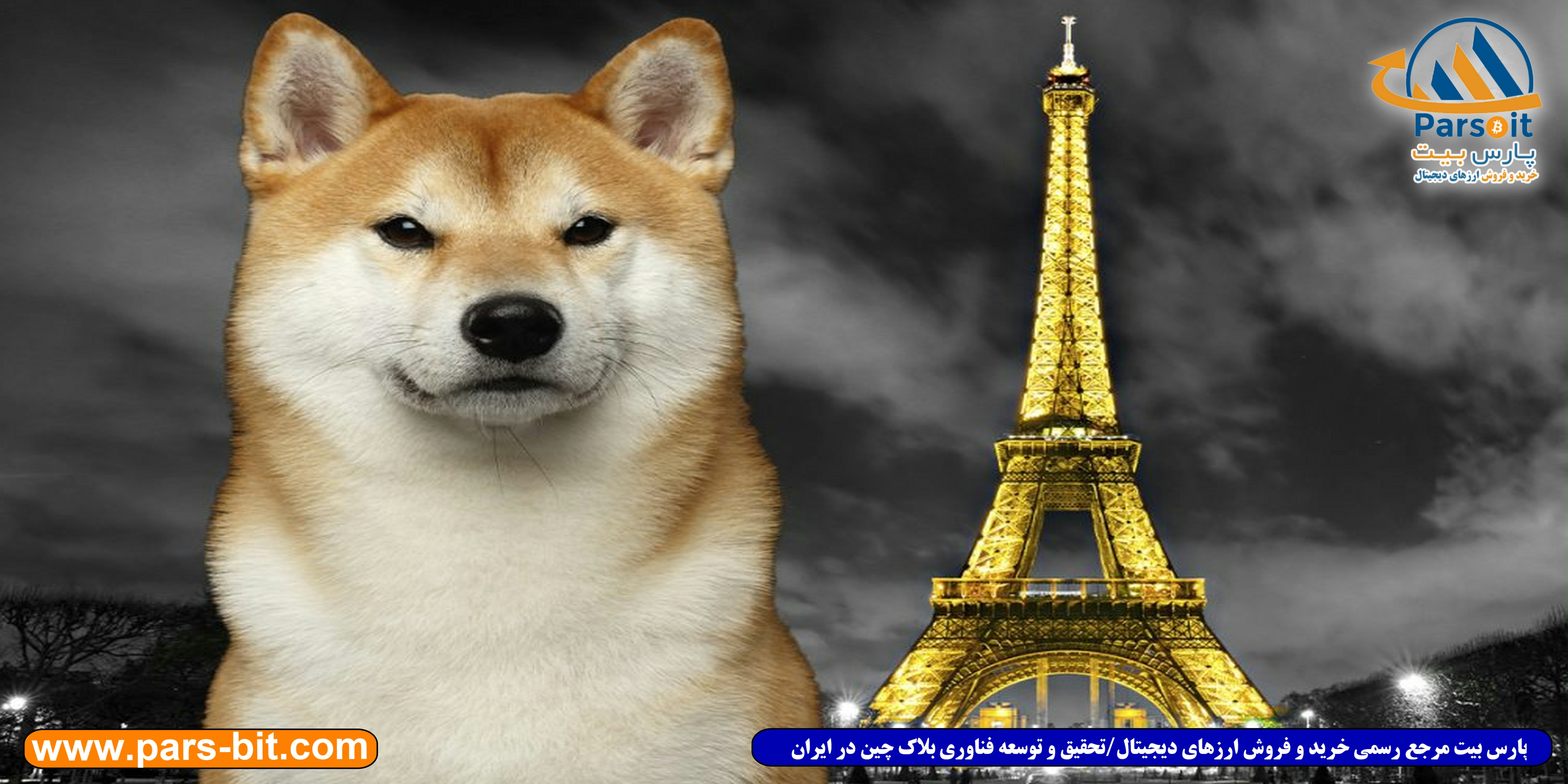 blog-image