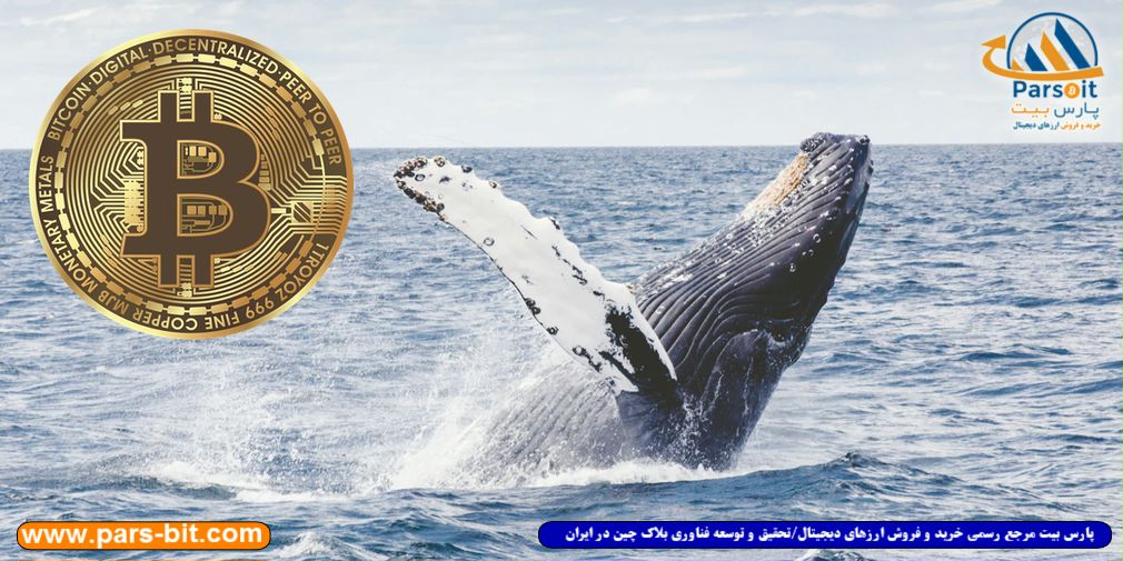 blog-image