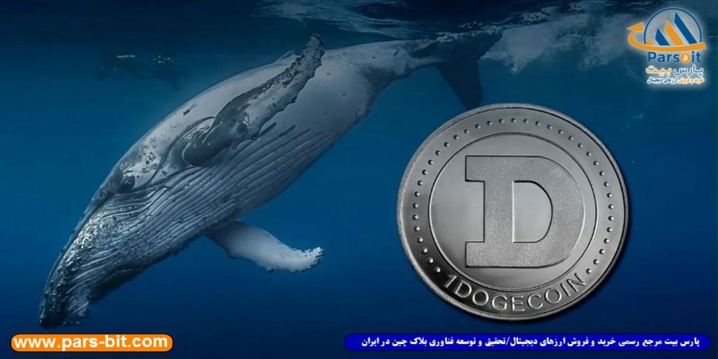 blog-image