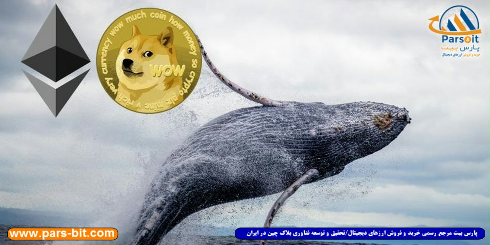 blog-image
