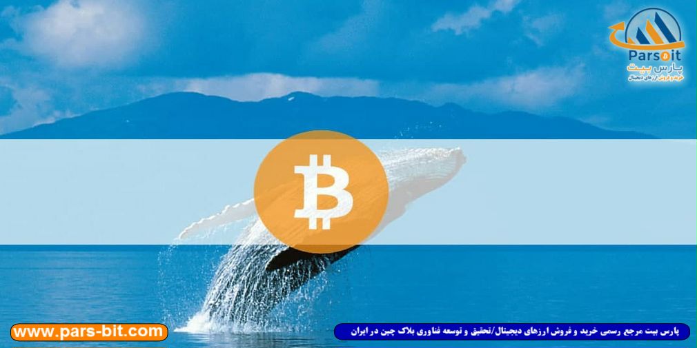 blog-image