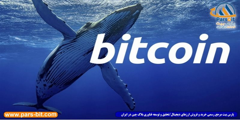 blog-image