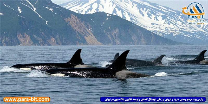 blog-image