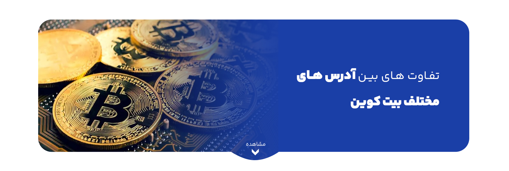 blog-image
